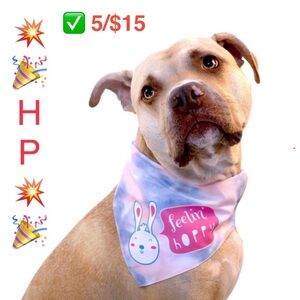 ✅5/$15 🎉HP💥🆕 Vibrant Life Dog Bandana, Feelin Happy M/L